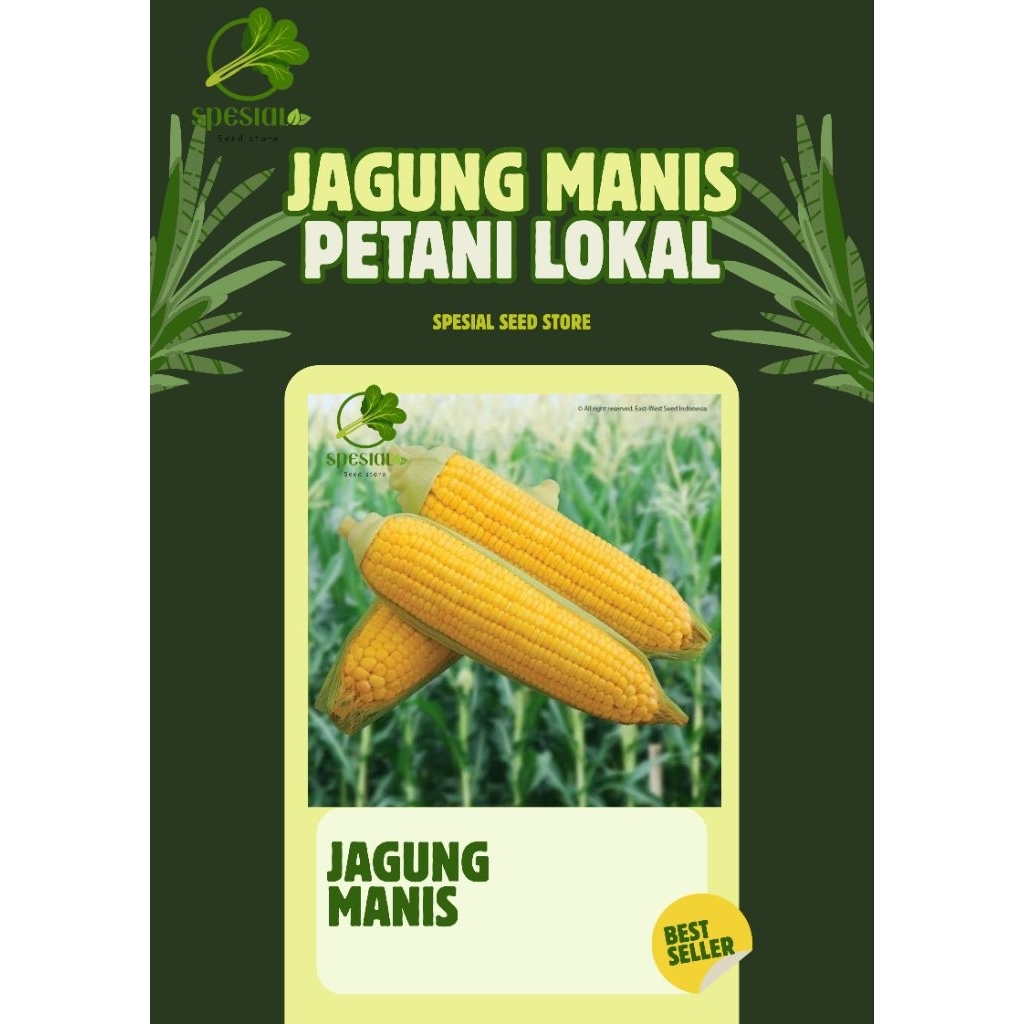 200 biji benih jagung manis golden