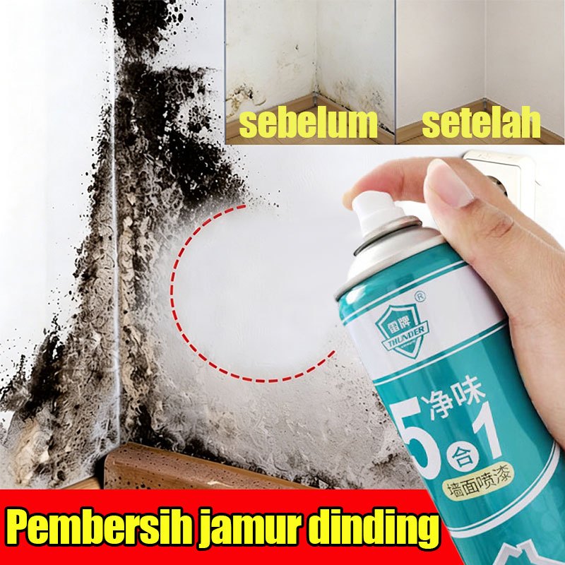 cat tembok dinding anti jamur dan lembab semprotan cat tembok interior pembersih dinding jamur tembo