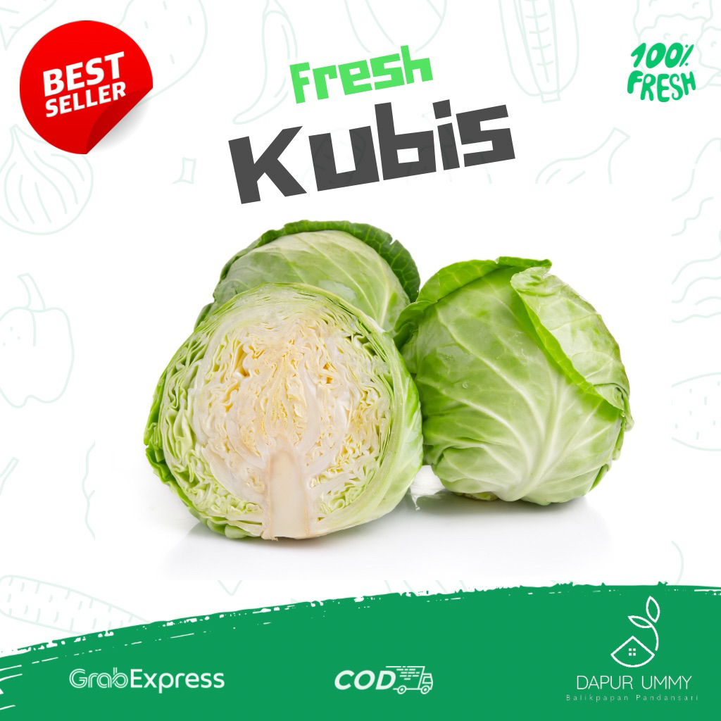KUBIS • Kol Kubis Segar