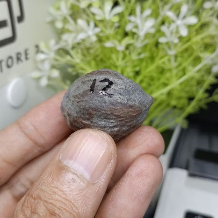 Muncang Adu Yanti Denpom Jr kode 12