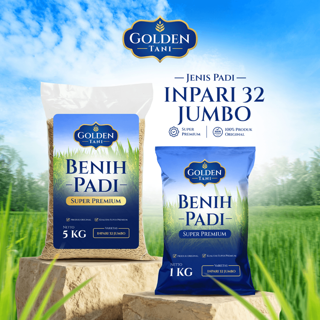 Benih Padi Inpari 32 Jumbo Kualitas Super Premium Original 100%