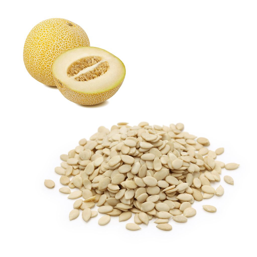 BIBIT BUAH MELON SKY SUPER BIBIT UNGGUL PER 50 BUTIR