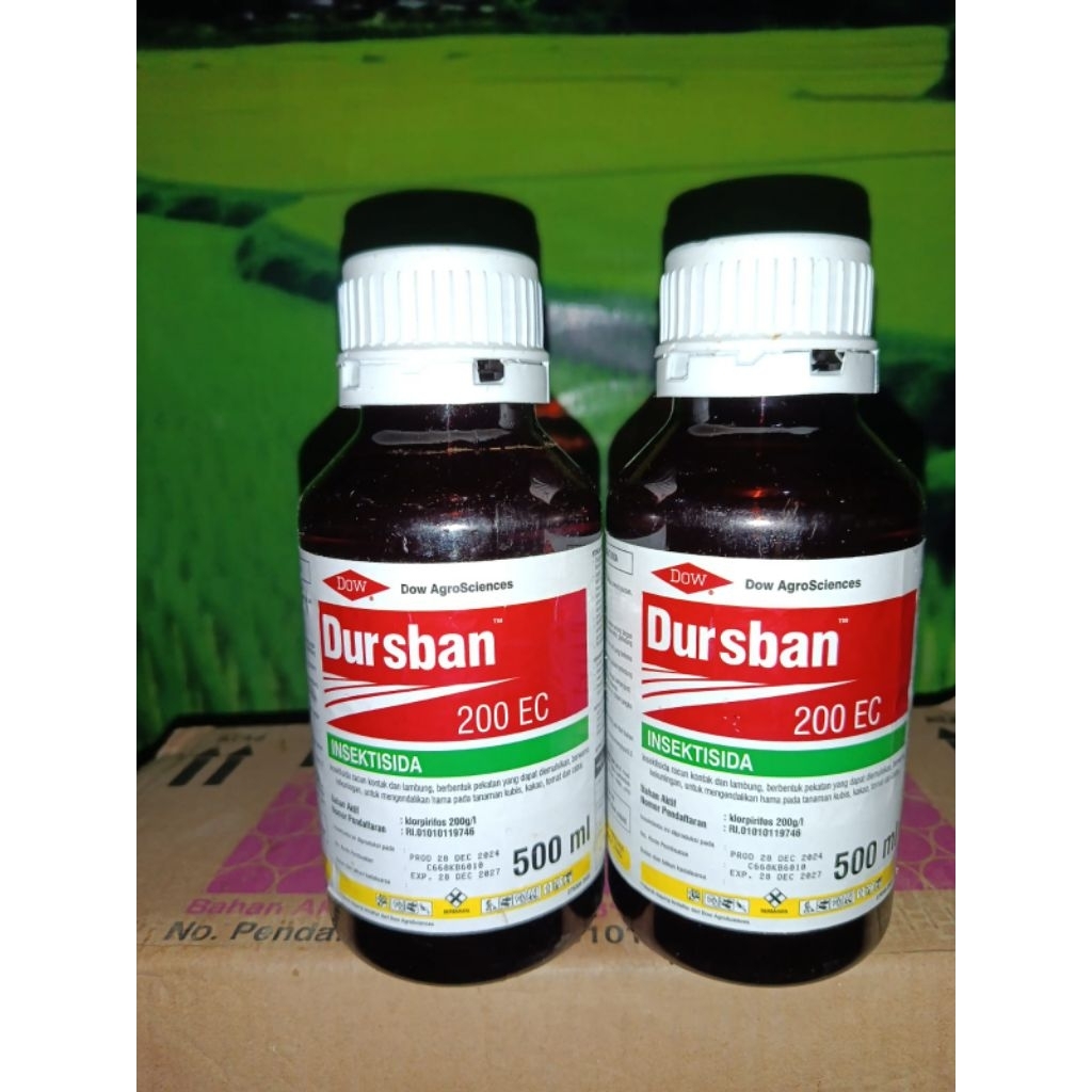 INSEKTISIDA DURSBAN 500 ML