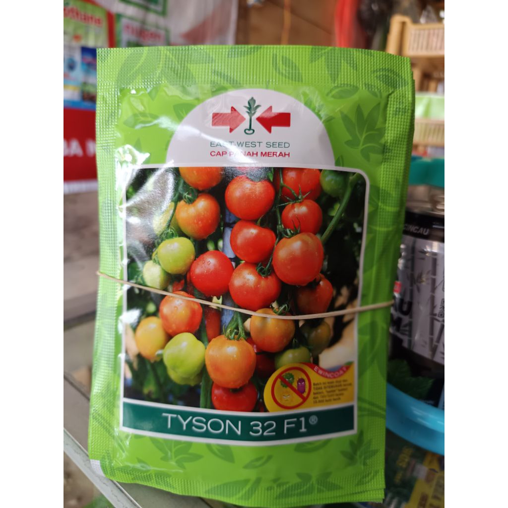 Benih Bibit Tomat Tyson 32 F1 150 Butir - Tahan Penyakit, Buah Besar, Musim Hujan