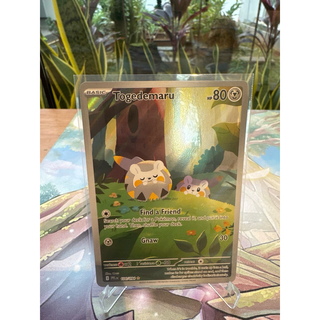 Pokemon Togedemaru AR English