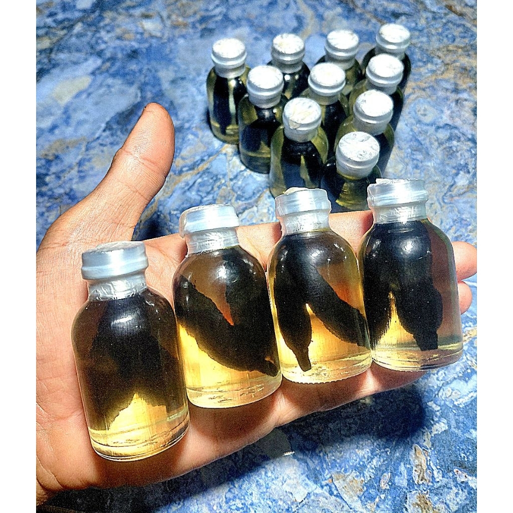 Dua bunga kantil hitam dalam kemasan
