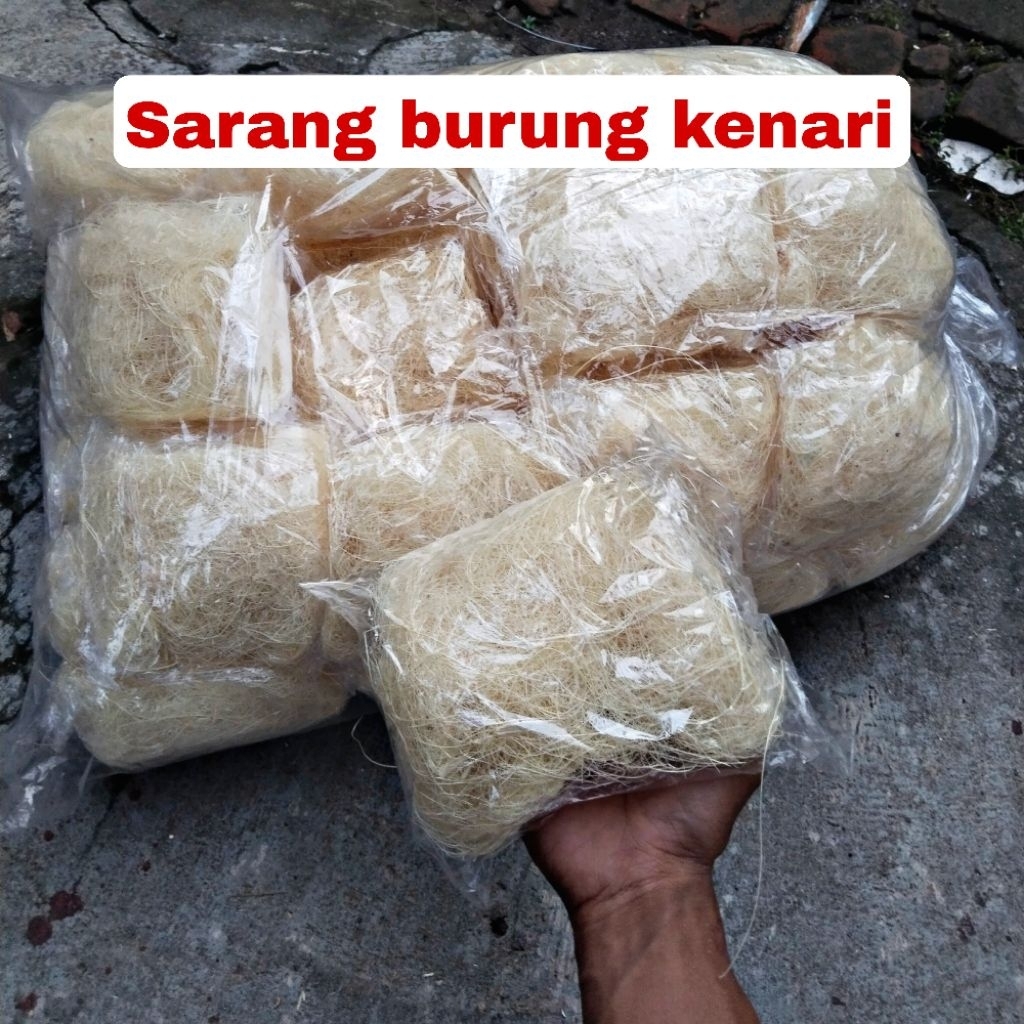 Sarang burung kenari serat nanas