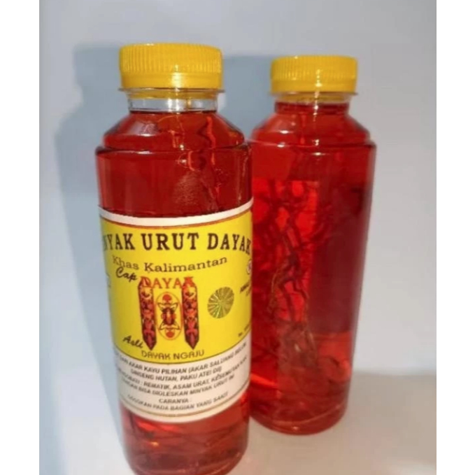 MINYAK URUT DAYAK NGAJU TERMURAH