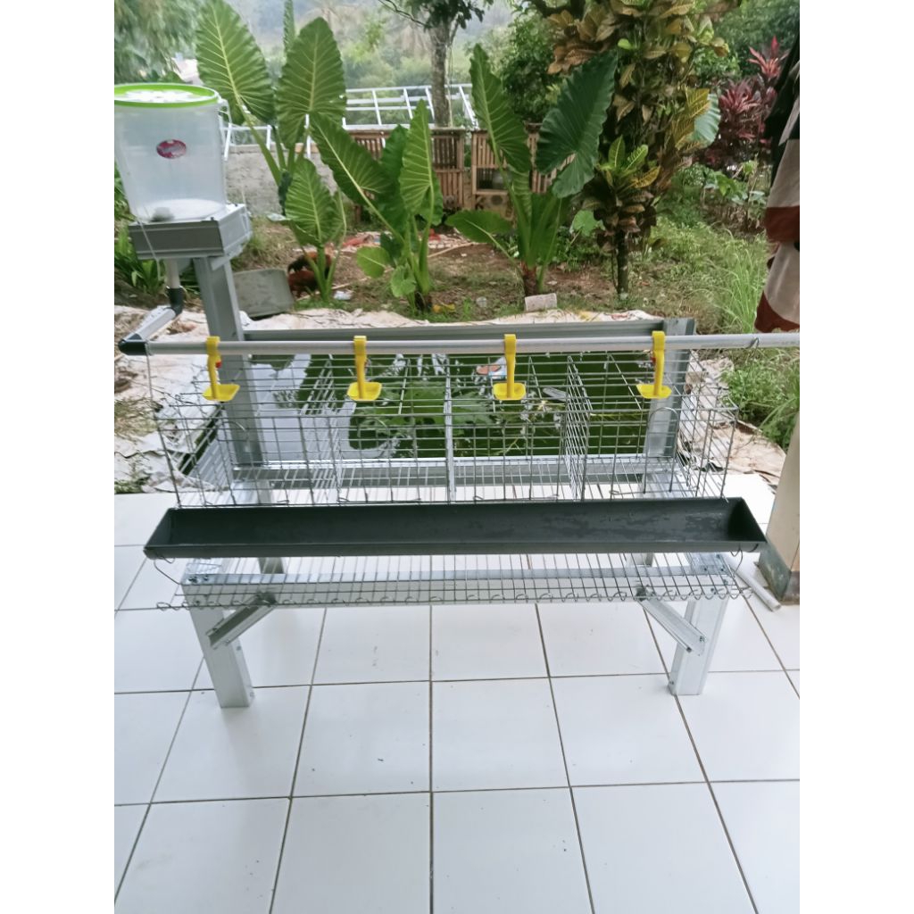 kandang batre ayam petelur  galvanis