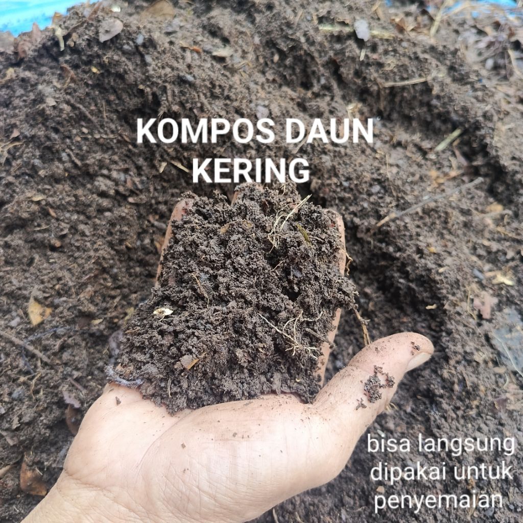 Kompos Daun Kering Murni