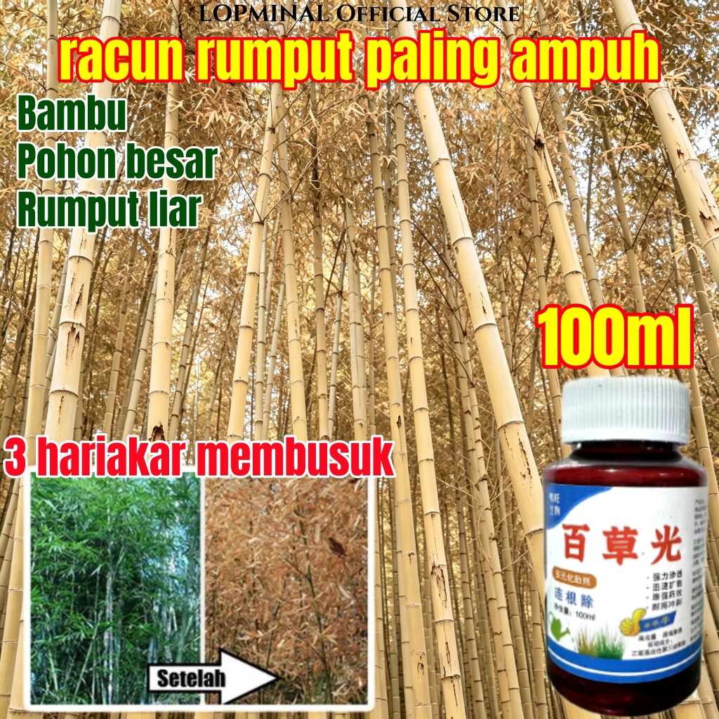 Racun rumput paling ampuh no 1 Herbisida pembasmi pembunuh rumput liar sampai akar cairan pembunuh r