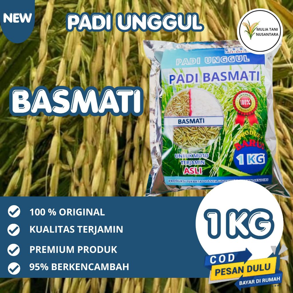 Benih Padi Basmati Aromatik 1KG (Basmati/Baroma 1121)