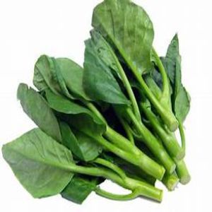 Sayur kailan, kailan segar, sayur kailan fresh