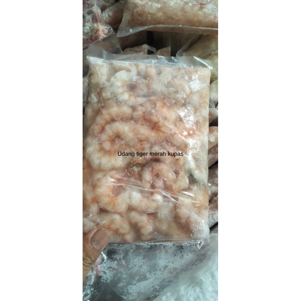 UDANG LAUT TIGER MERAH KUPAS BERSIH
