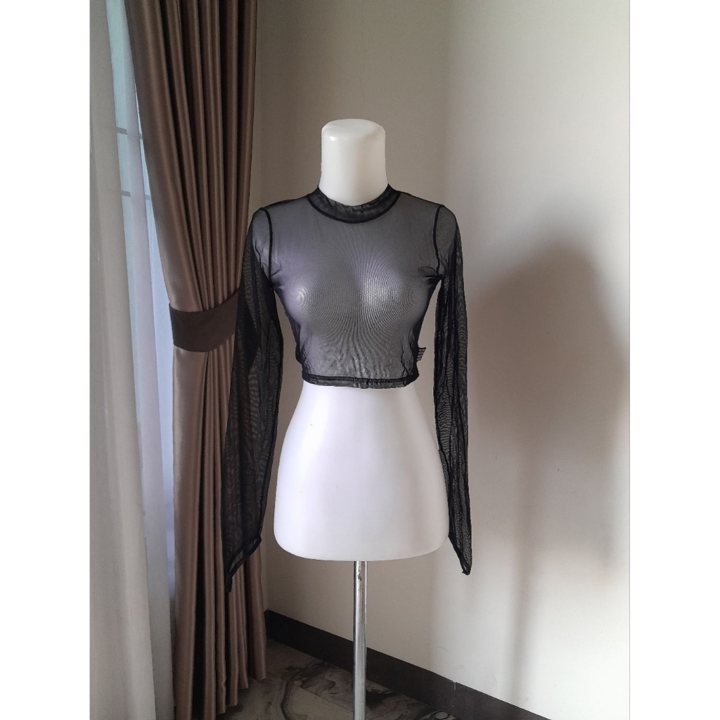 DIVINE COMEDY Transparant Longsleeve Crop, Longsleeve Croptop