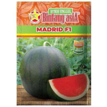 Bibit Semangka non biji MADRID F1 20 Gram - Bintang Asia