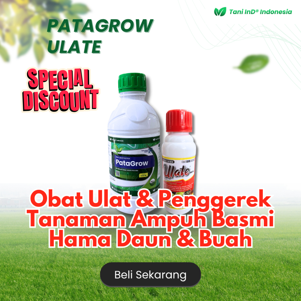 Obat Ulat & Penggerek Tanaman, Ulate, Nutrisi Patagrow Mempercepat Pemulihan dan Ampuh Basmi Hama Da