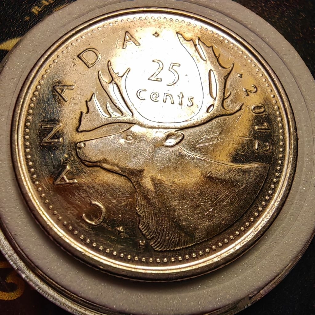 koleksi 25 cent regina canada ory asli sudah di kemas pelindung koin
