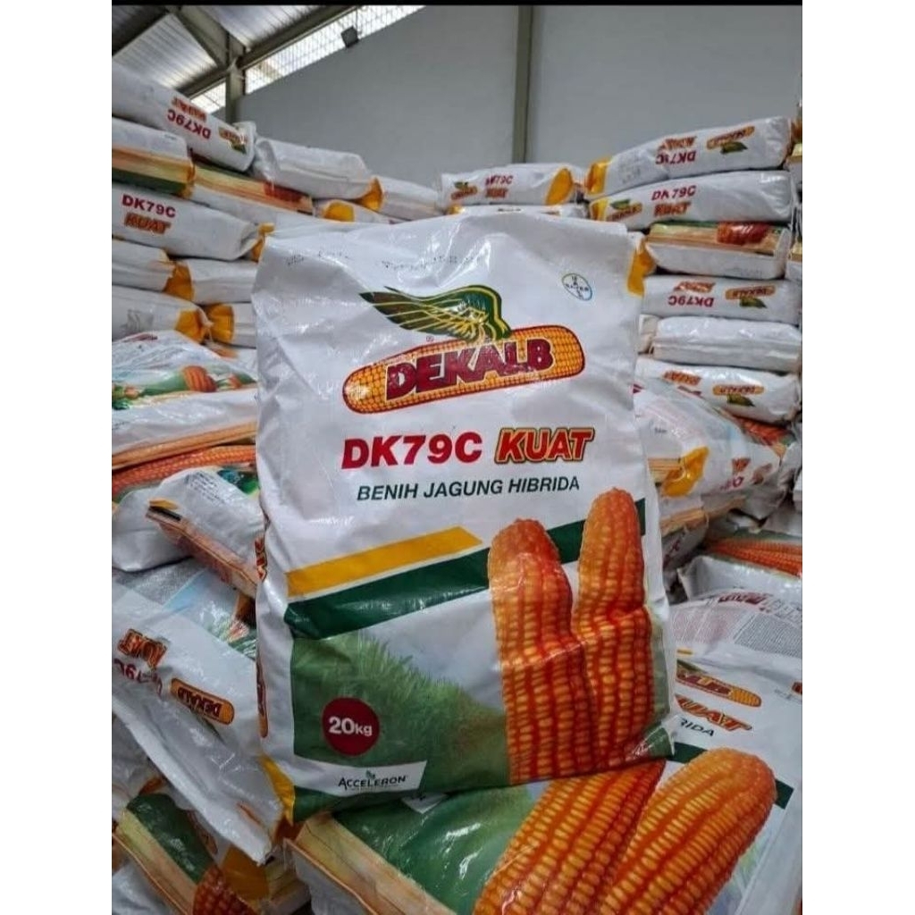 Benih Jagung DK79C Kuat 1 kg Beli 4 Gratis 1
