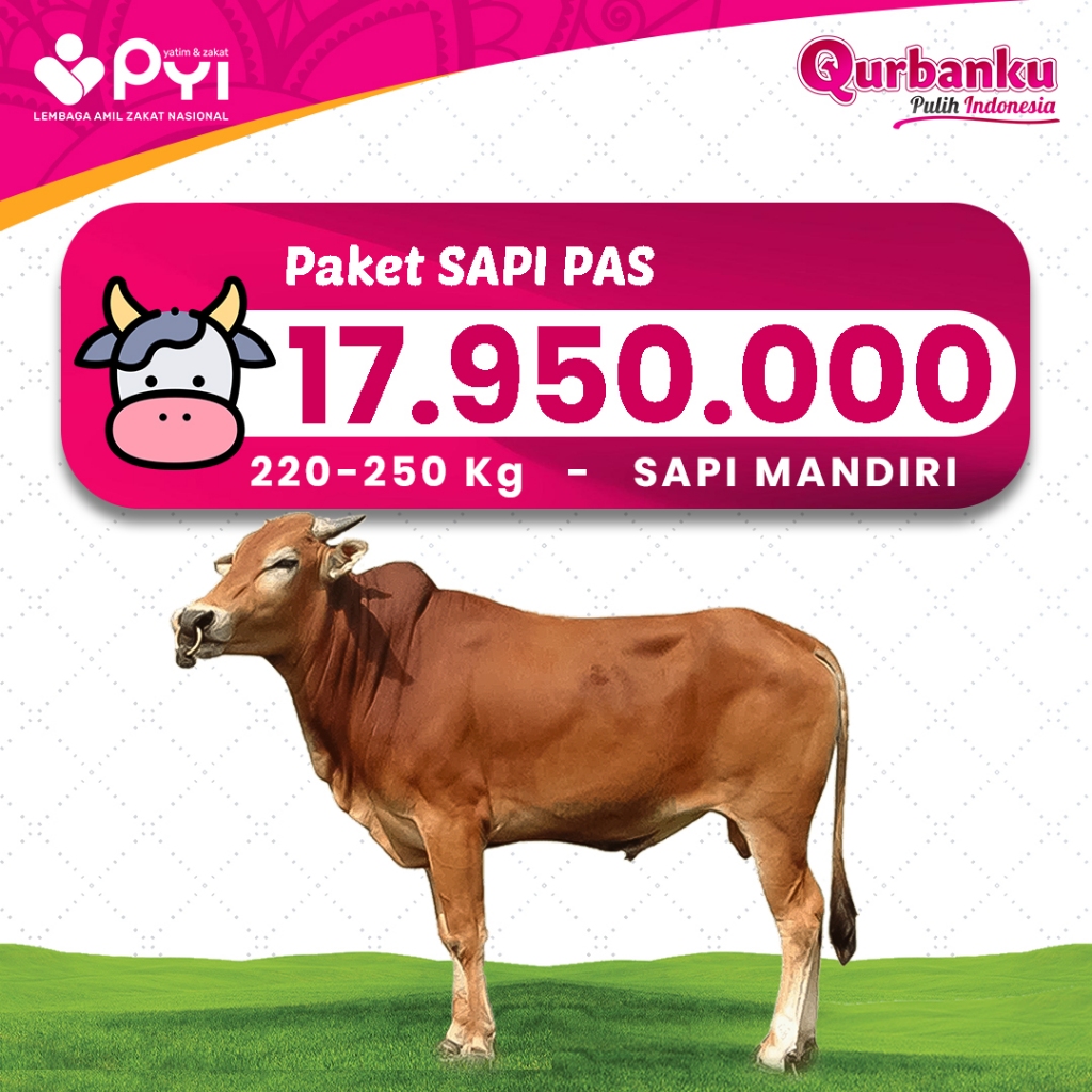 Qurban 2026/1447 H - Qurban Sapi pas Qurban Sapi Harga Ekonomis Qurban amanah