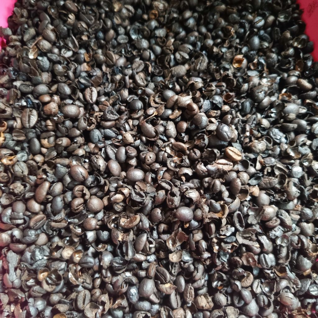 Kopi Kulit