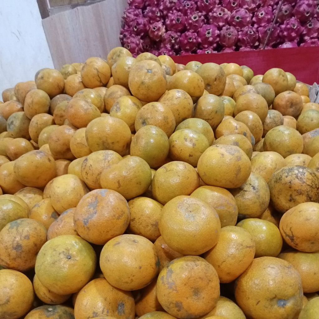 jeruk Medan beras tagi 1kg