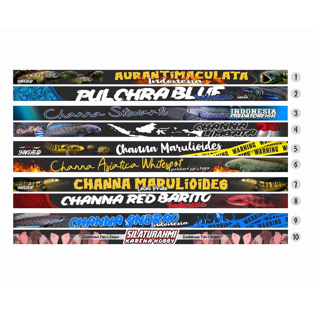 SNAKEHEAD FISH CHANNA EDITION (Bisa Request) Stiker aquarium stiker tank stiker iwak galak stiker pr