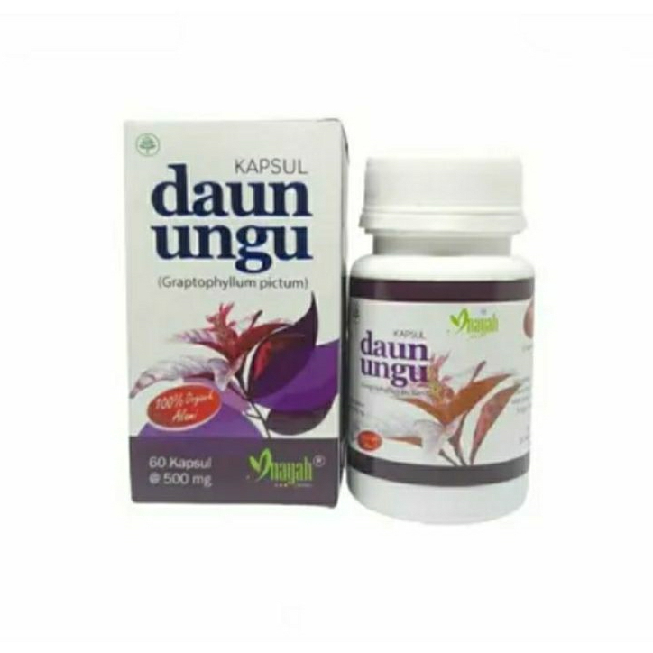 Kapsul Daun Ungu Mengobati Wasir ambeien