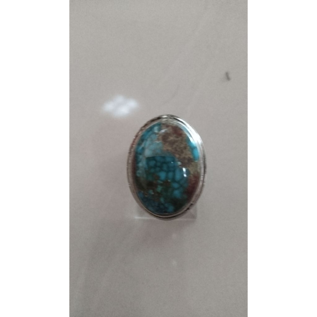 pirus persia jumbo