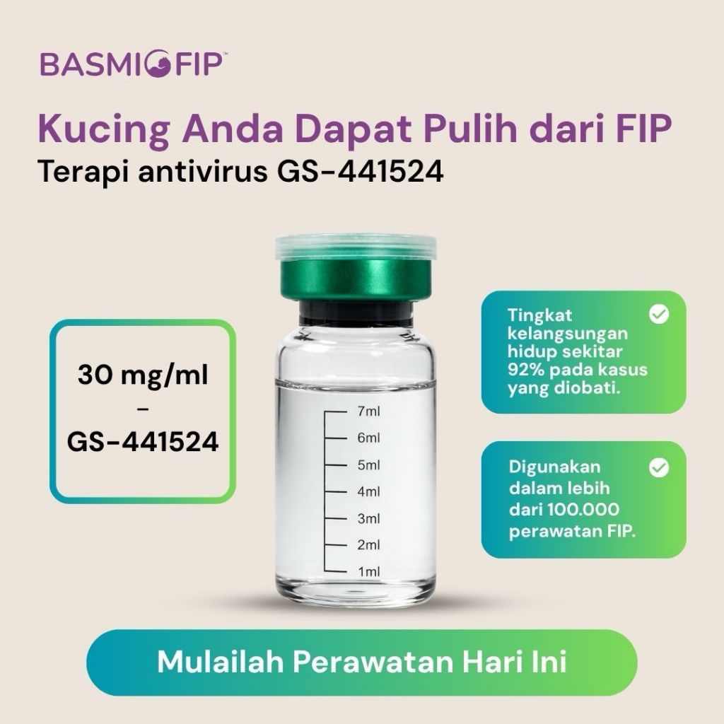 Obat FIP Kucing - Obat FIPV Kucing - Basmi FIP Indonesia
