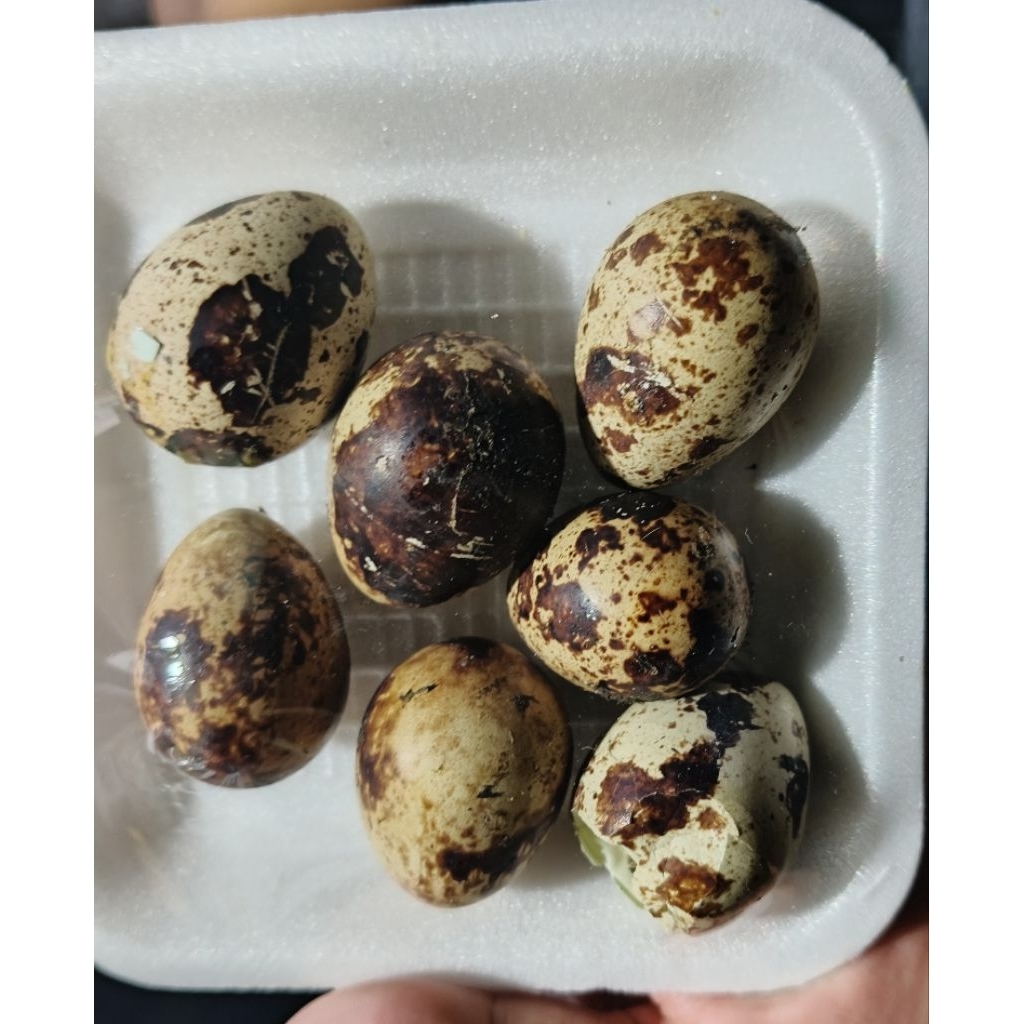 telur puyuh Mateng..