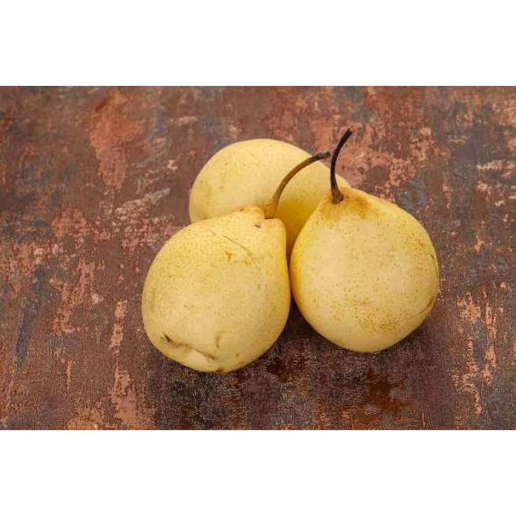 Buah Pear Madu