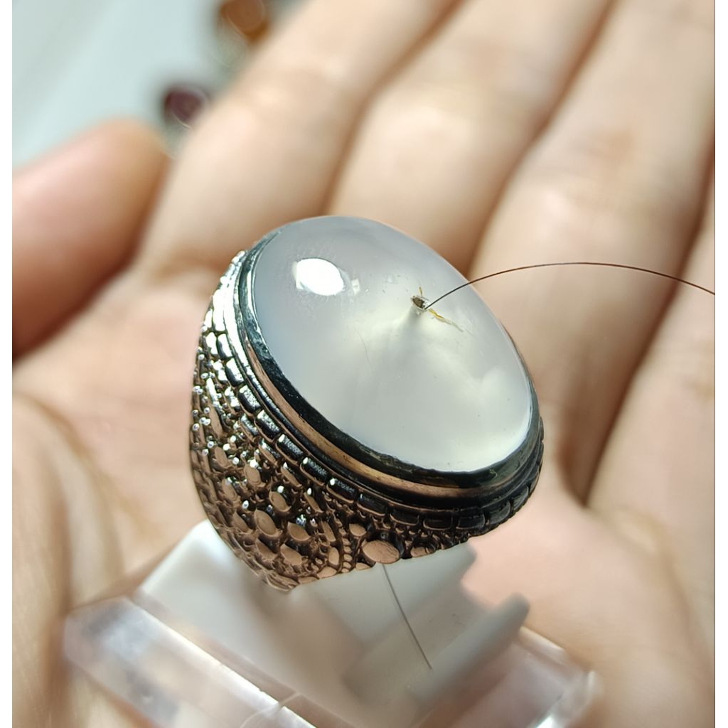 Combong Serambut Natural Alam