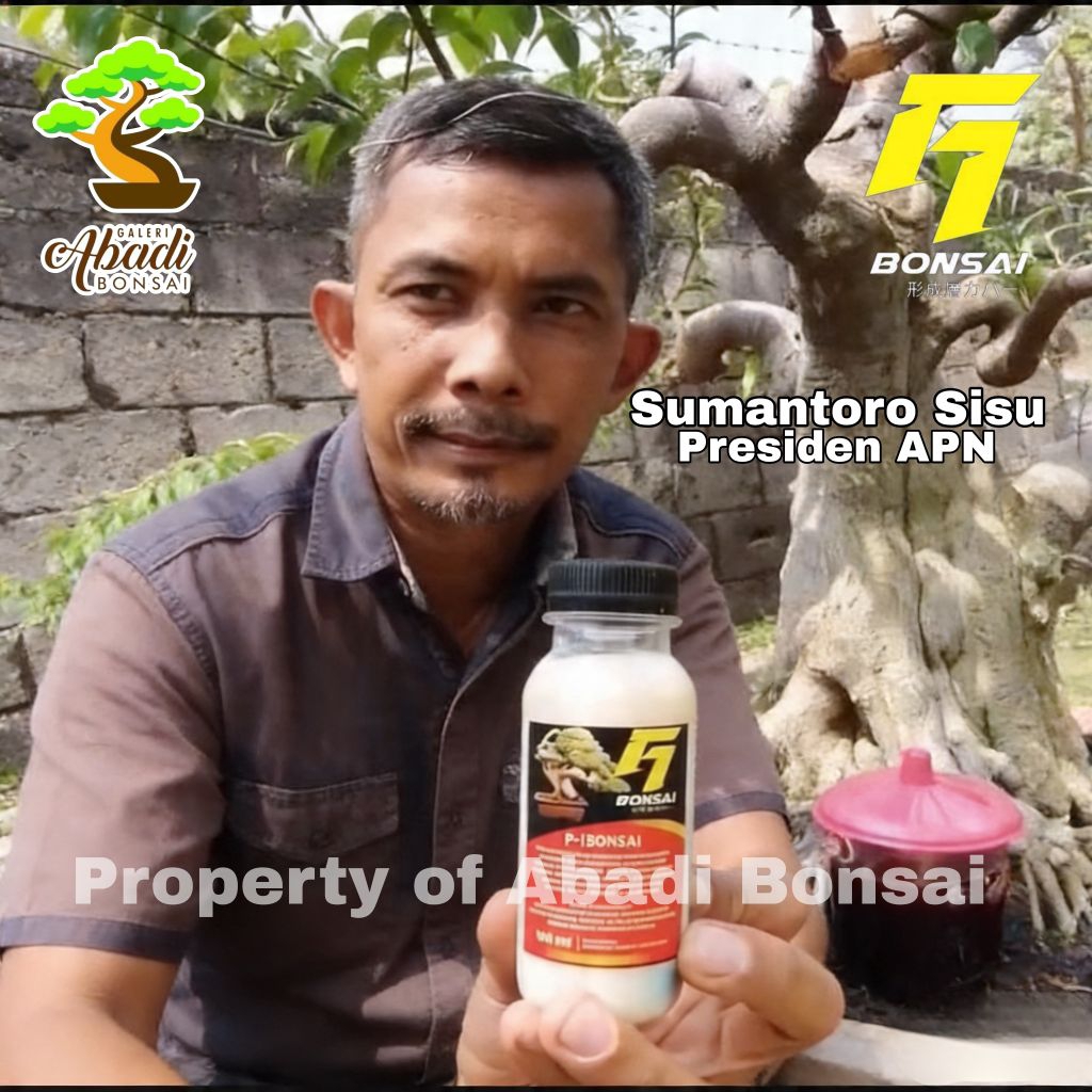 Formula Kambium F1 Oficial | 100 ml