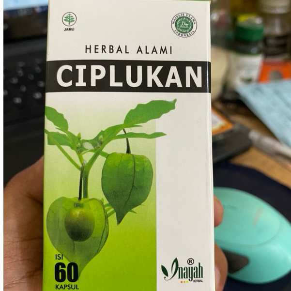 KAPSUL CIPLUKAN kapsul daun ciplukan by Sabana Herbal