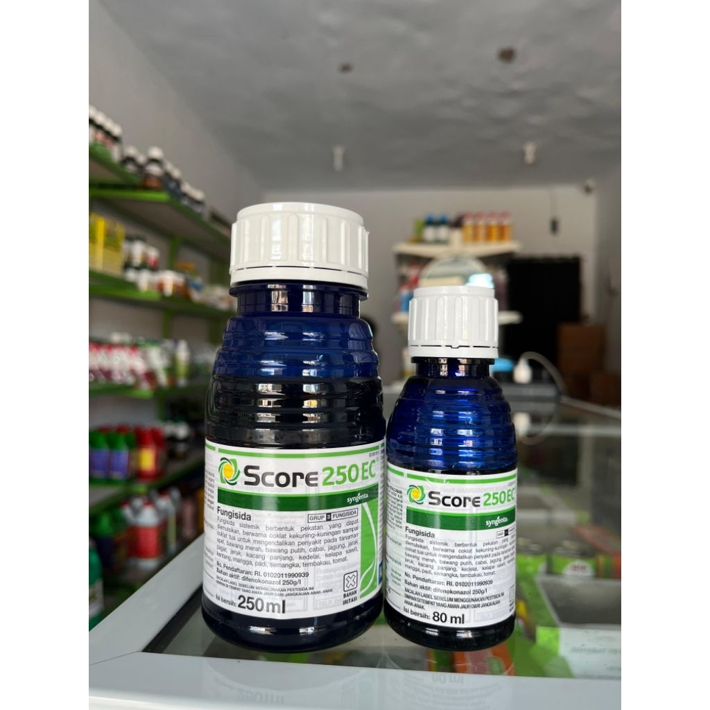 Score 80ml