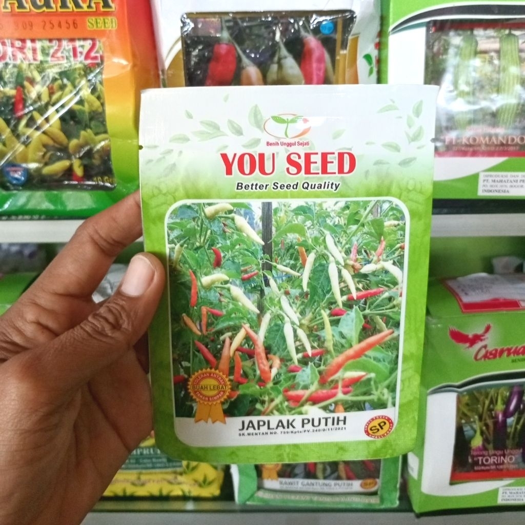 500 BIJI BENIH CABE RAWIT JAPLAK PUTIH ORIGINAL KEMASAN PABRIK
