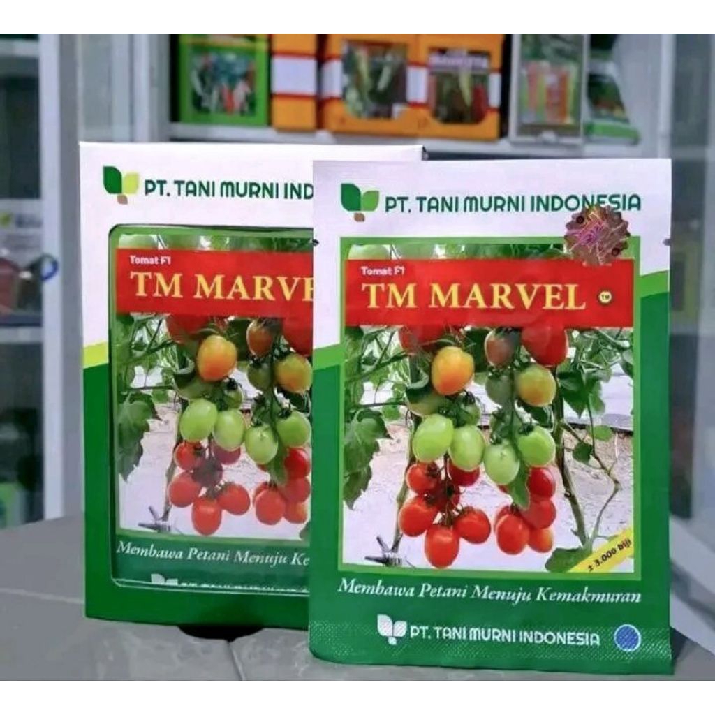 BENIH TOMAT TM MARVEL F1 10 GRAM