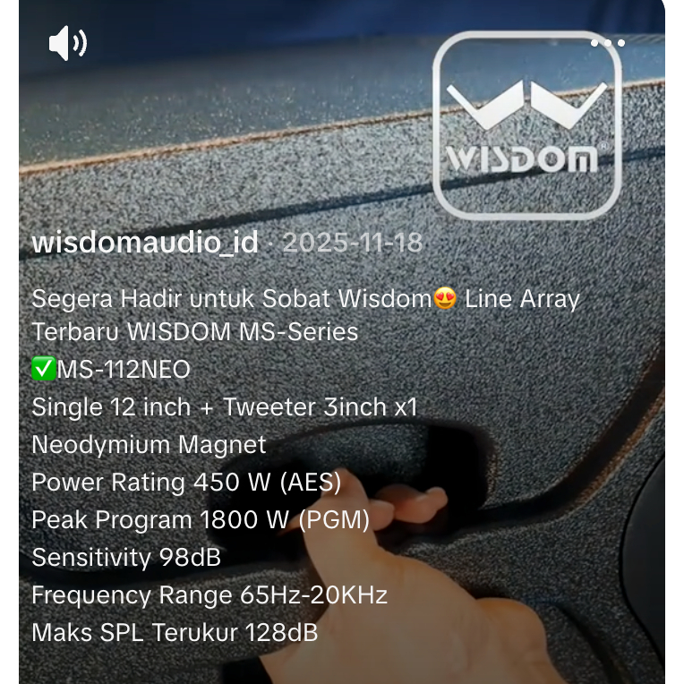 (JUAL 1 HARDCASE = 2 BUAH) Speaker Wisdom MS112 NEO / MS 112 NEO Line Array MS-112-NEO Speaker Pasif Wisdom MS112-Neo