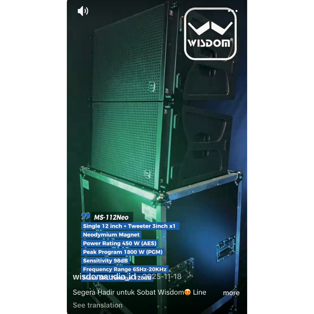 (JUAL 1 HARDCASE = 2 BUAH) Speaker Wisdom MS112 NEO / MS 112 NEO Line Array MS-112-NEO Speaker Pasif