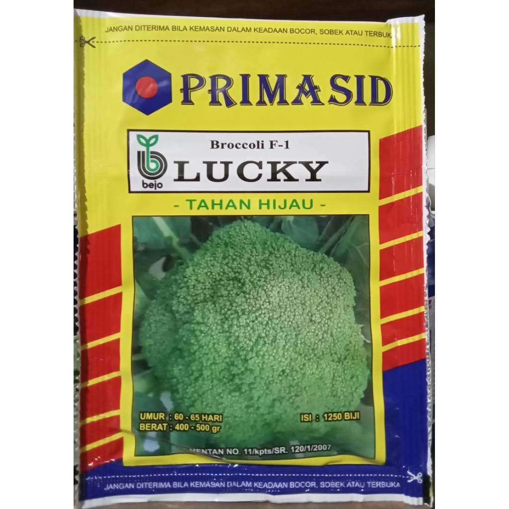 BIBIT BROKOLI BEJO 1.250 biji