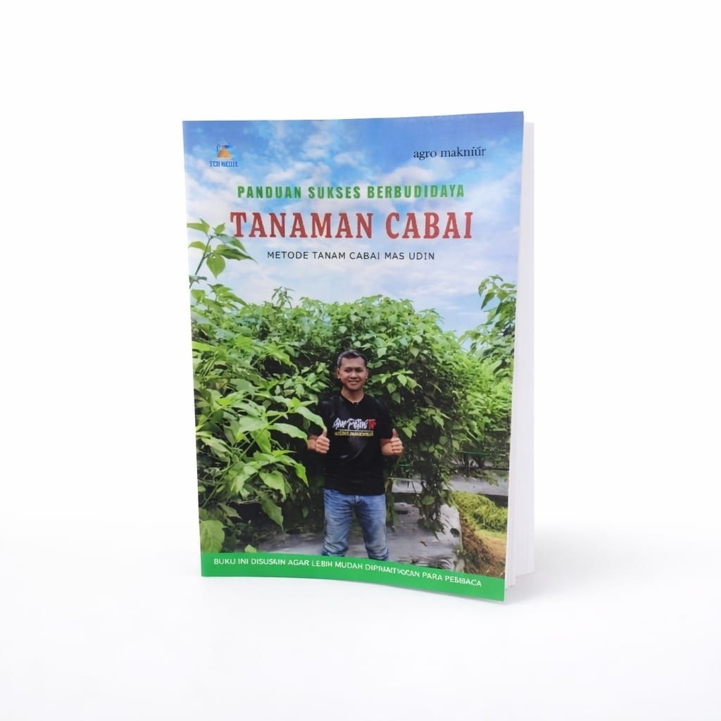 TANAMAN CABAI Metode Tanam Cabai Mas udin