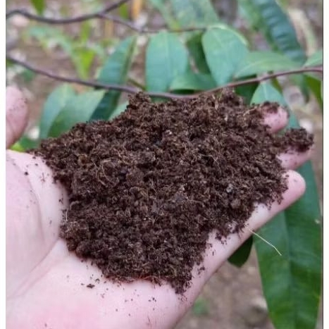 Pupuk kandang fermentasi