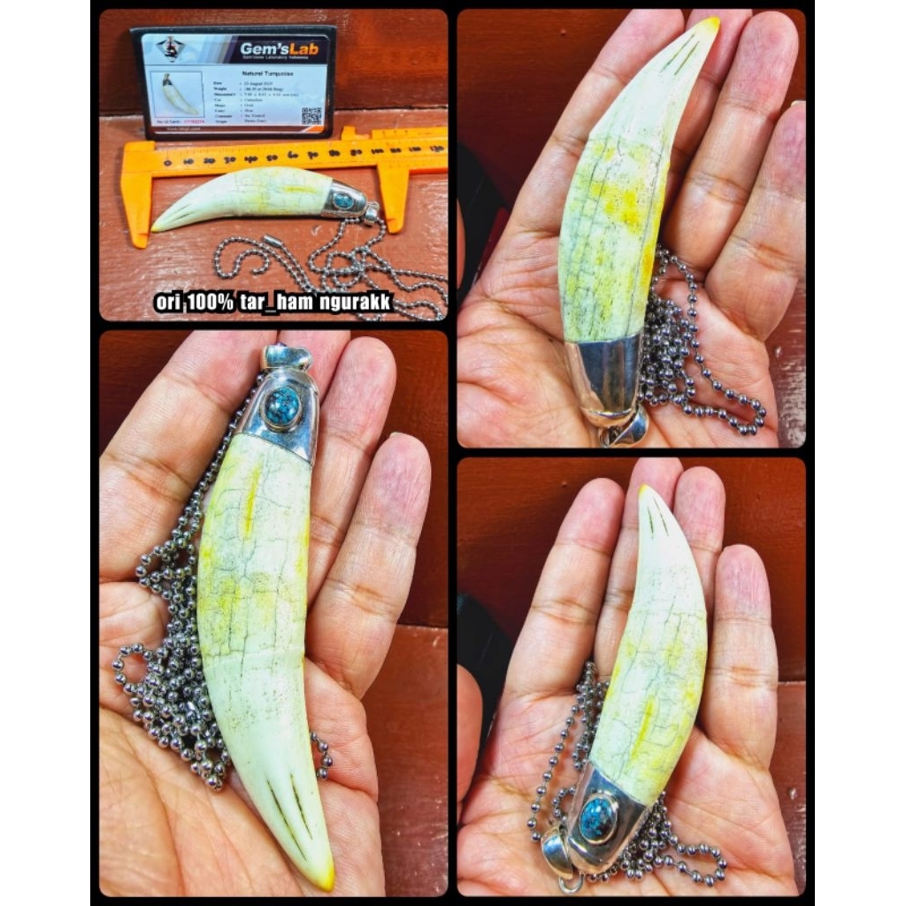 barang antik super kuno big jumbo boss asli tua 100%
