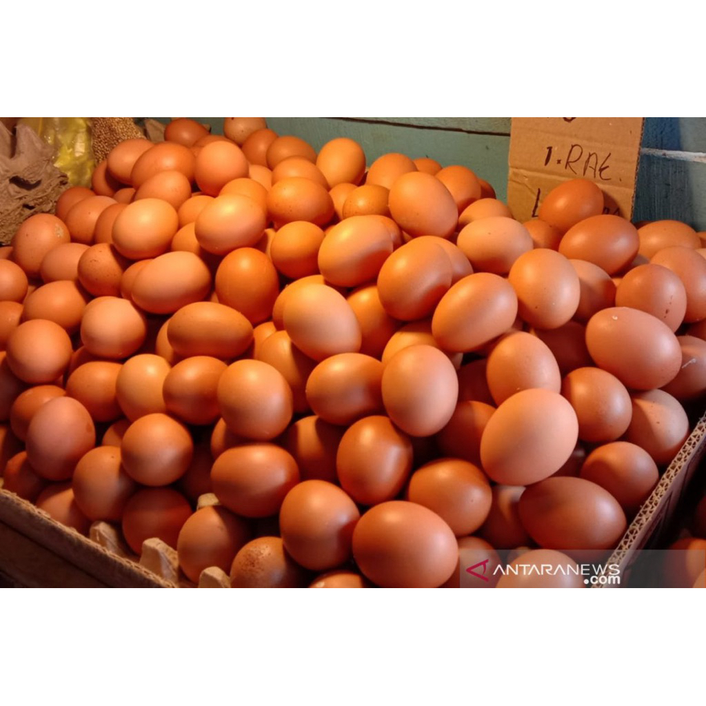 TELUR AYAM Isi 1kg INSTAN SBY