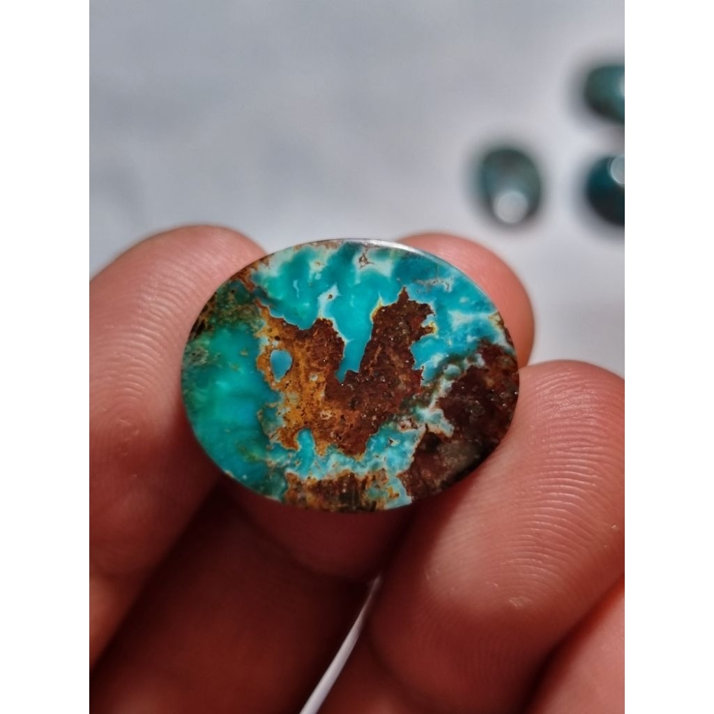 natural pirus persia motip gambar