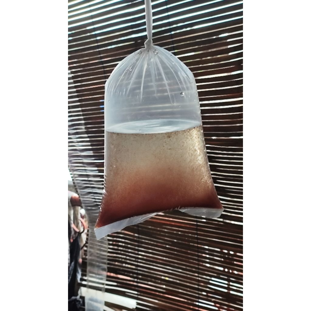 Kutu Air / Kutir