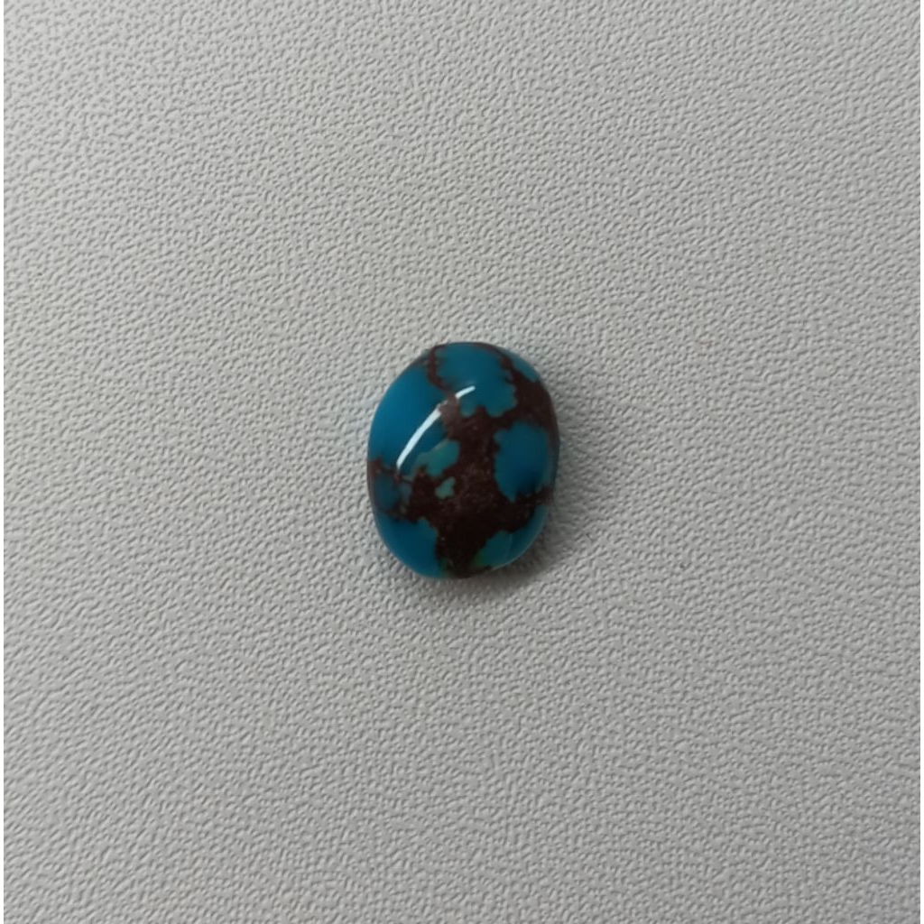 pirus mesir blue fancy urat full daging