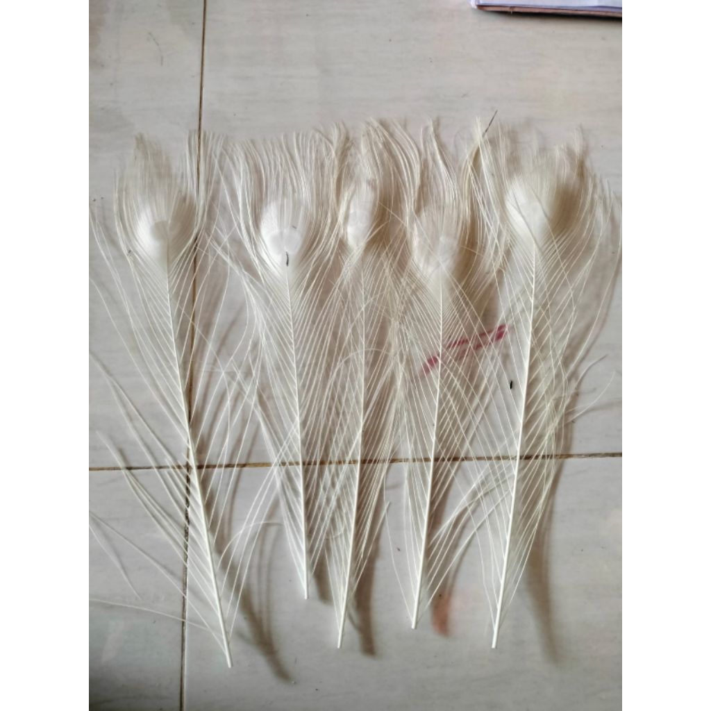 Bulu merak putih sintetis/replika bulu