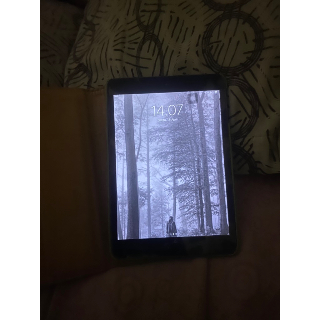 ipad mini 2